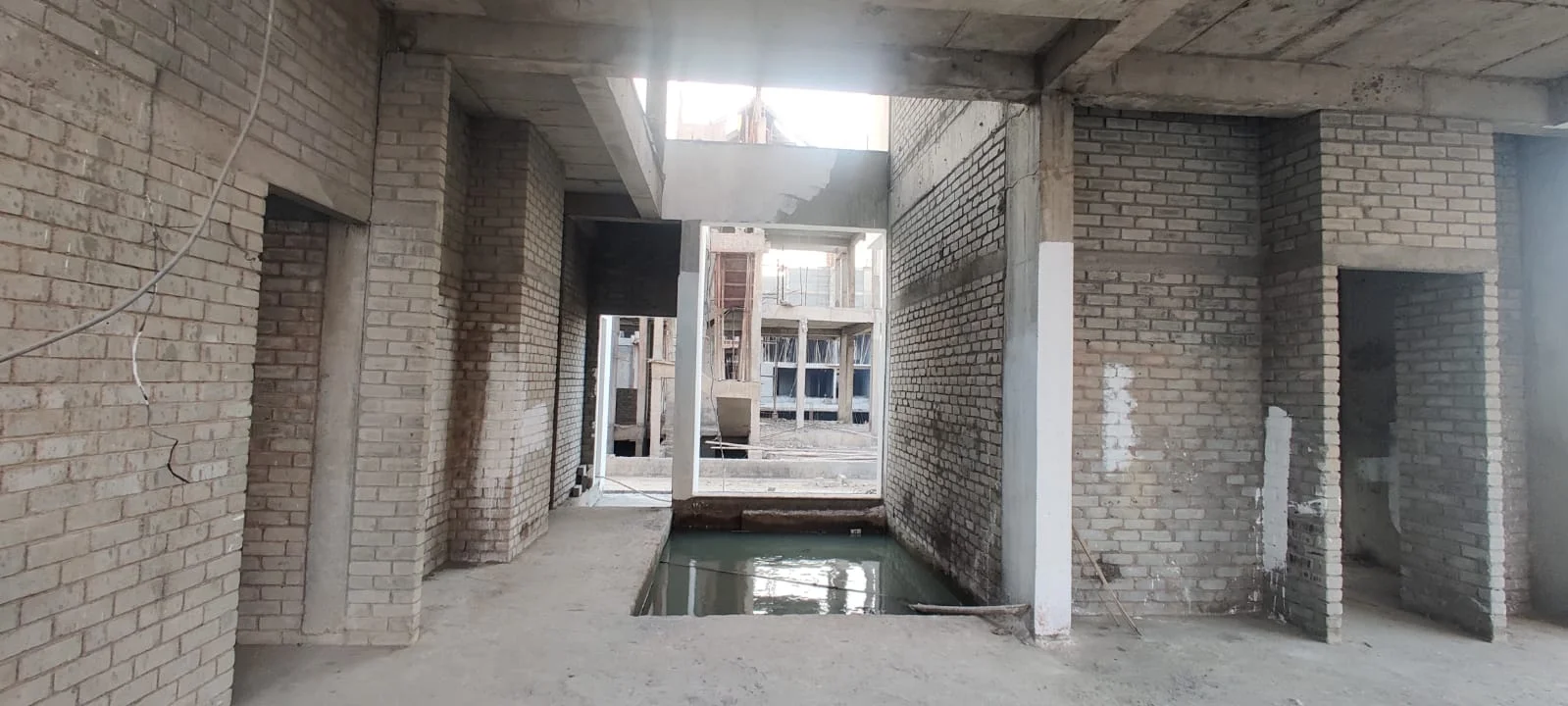 2026 02 05 17702946601282840658